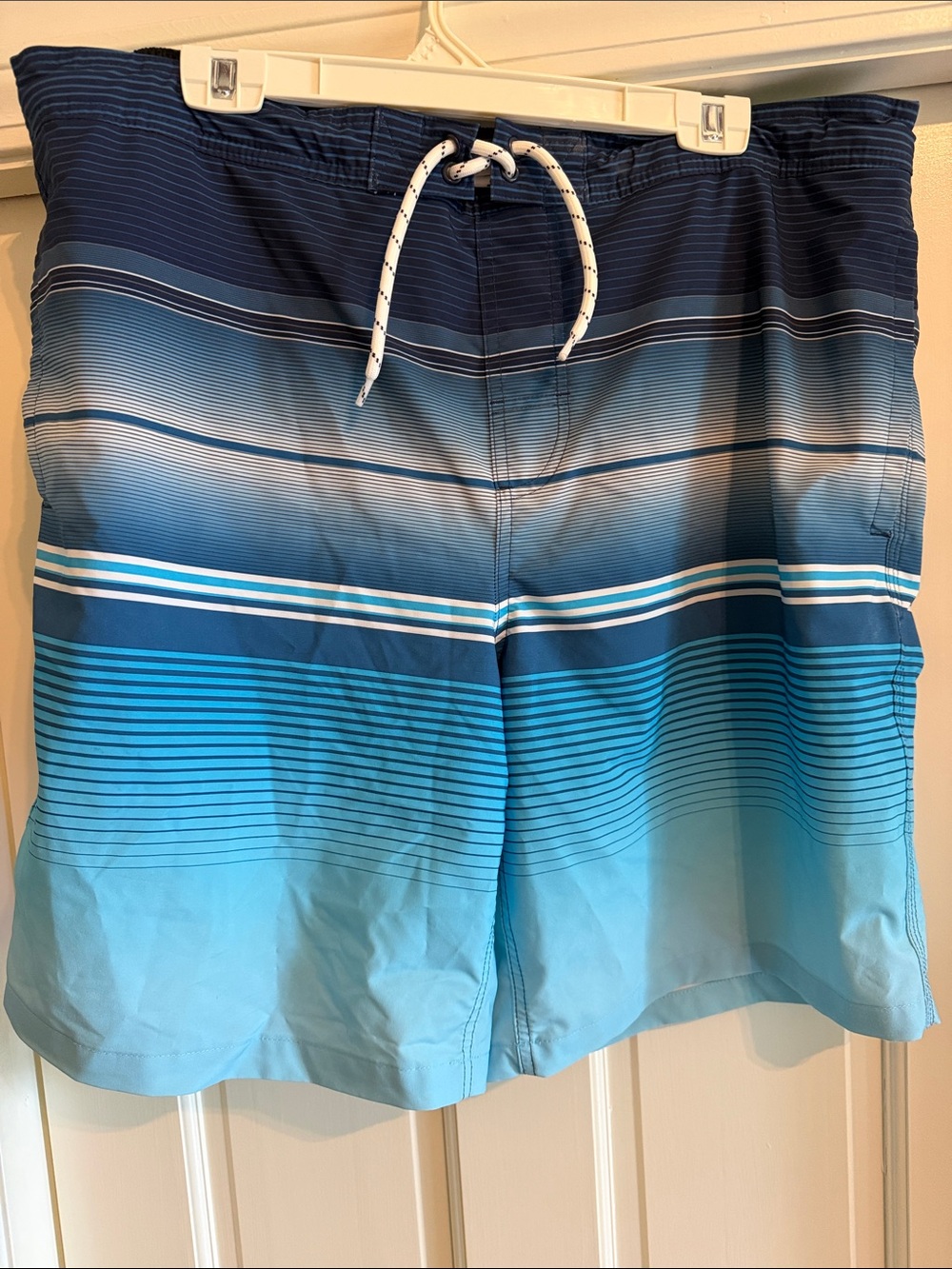 Goodfellow & Co Blue Gradient Stripe Swim Shorts